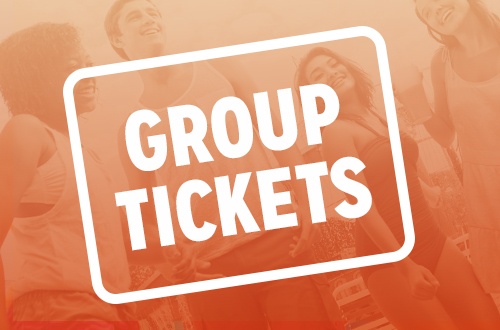 Michigan's Adventure Group Tickets